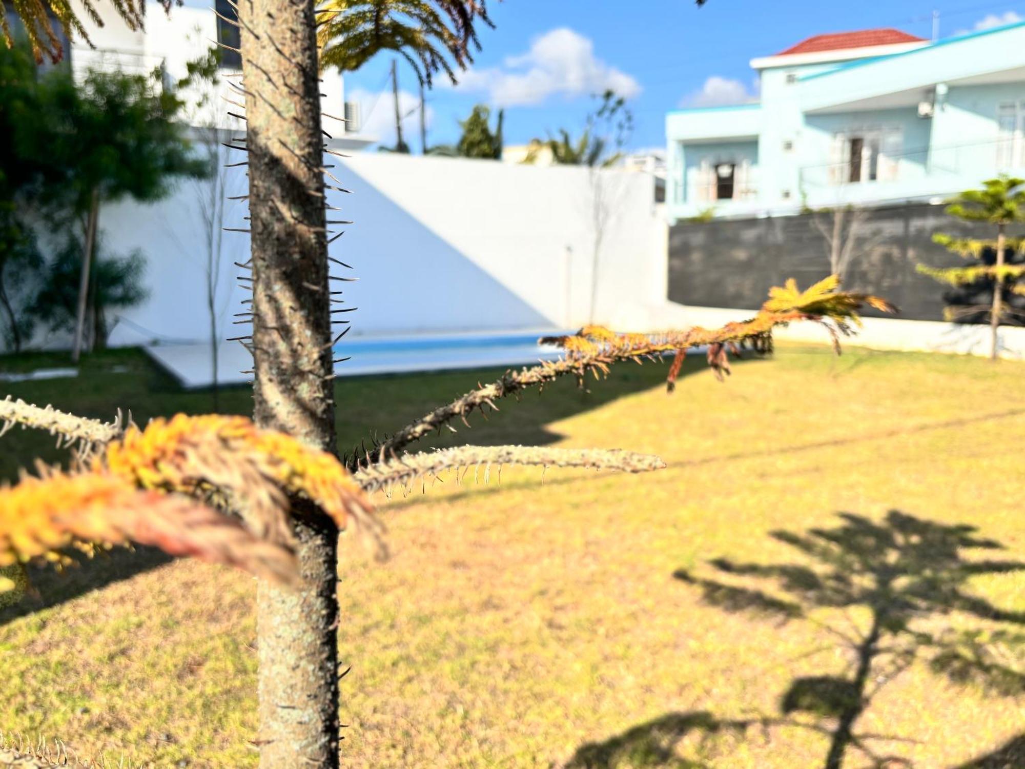 Maison Mont Choisy - One Or Two Bedrooms Apartment Trou aux Biches Εξωτερικό φωτογραφία